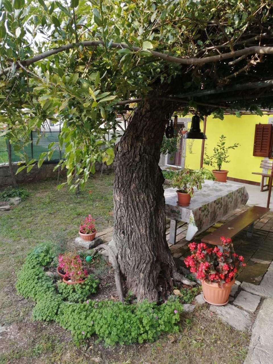 Holiday House Nono Labin  Bagian luar foto